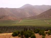 Valle del Elqui